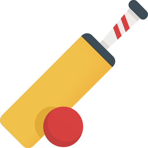 NET CRICKET